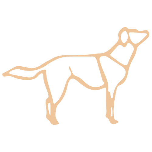 L ducation Canine Par Nini quilibre Bienveillance l-ducation-canine-par-nini-quilibre-bienveillance